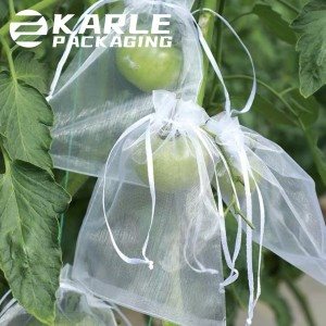 Protecting-Your-Garden-Fruit-with-Organza-Bags-2-(2).jpg