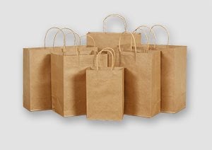Brown Paper Bags - Twisted Handles Kraft Paper Bags with Twisted Handles | Karle Packaging