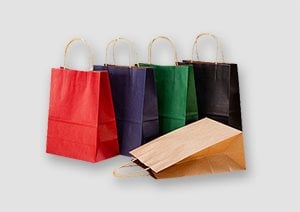 Coloured Paper Bags - Twisted Handles Kraft Paper Bags with Twisted Handles | Karle Packaging