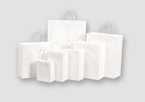 White Paper Bags - Twisted Handles Kraft Paper Bags with Twisted Handles | Karle Packaging